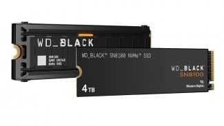Sandisk WD_BLACK SN8100 NVMe