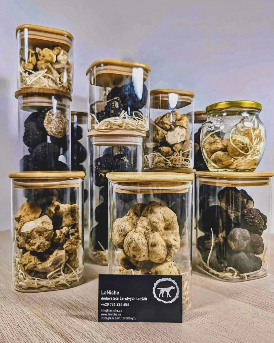 Lanýže od Petra Synka