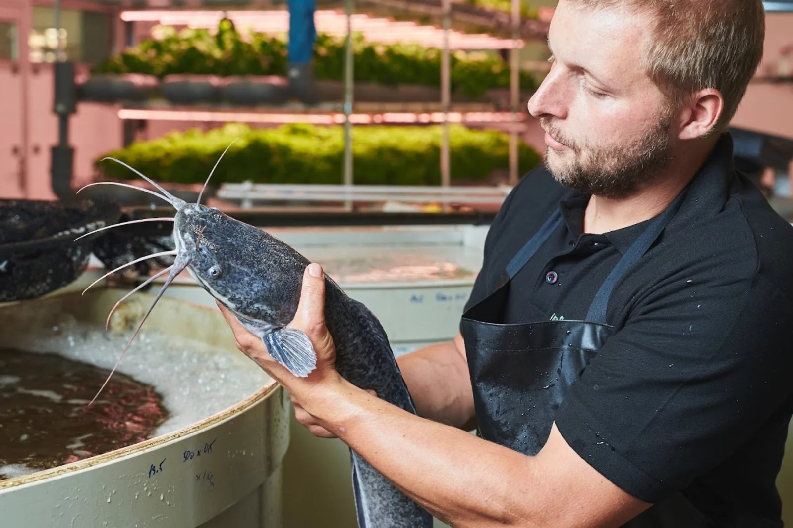 Michal a sumeček africký