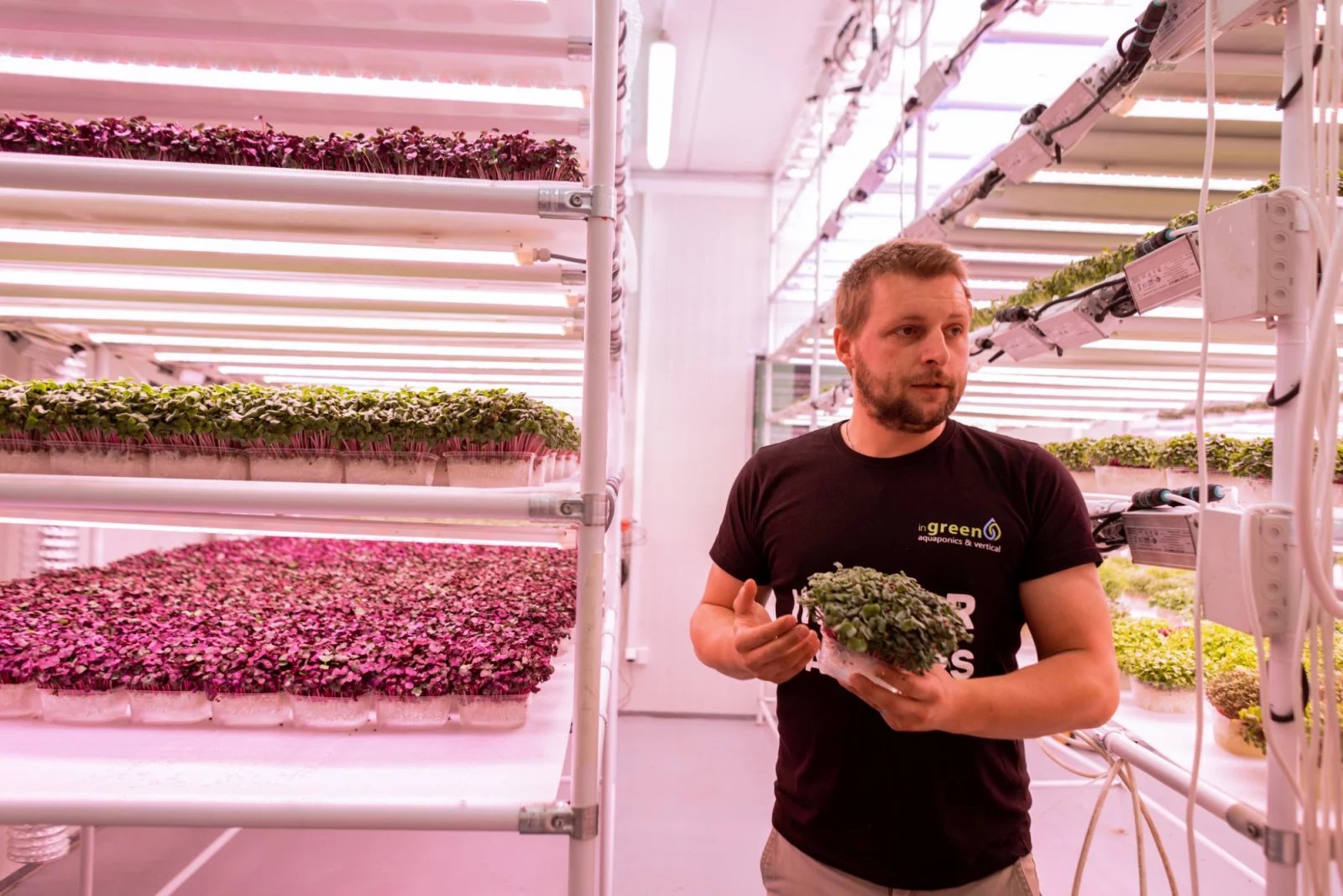 Pěstování takzvaných mikrobylinek