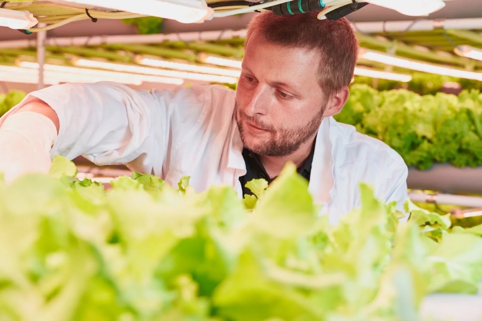 Milan Tesařík z inGreen