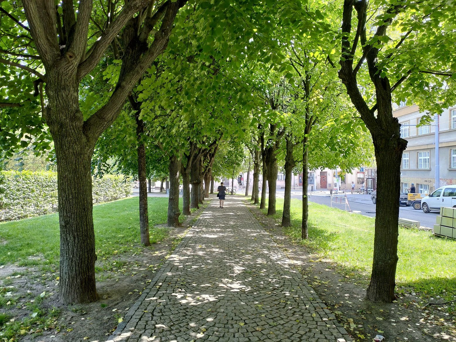 Asus ZenFone 6 P 20190611 113000