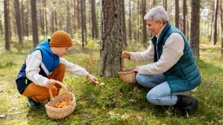 Náhledový obrázek - Kvíz: Poznáte jedlé a jedovaté houby našich lesů? Otestujte si své znalosti!