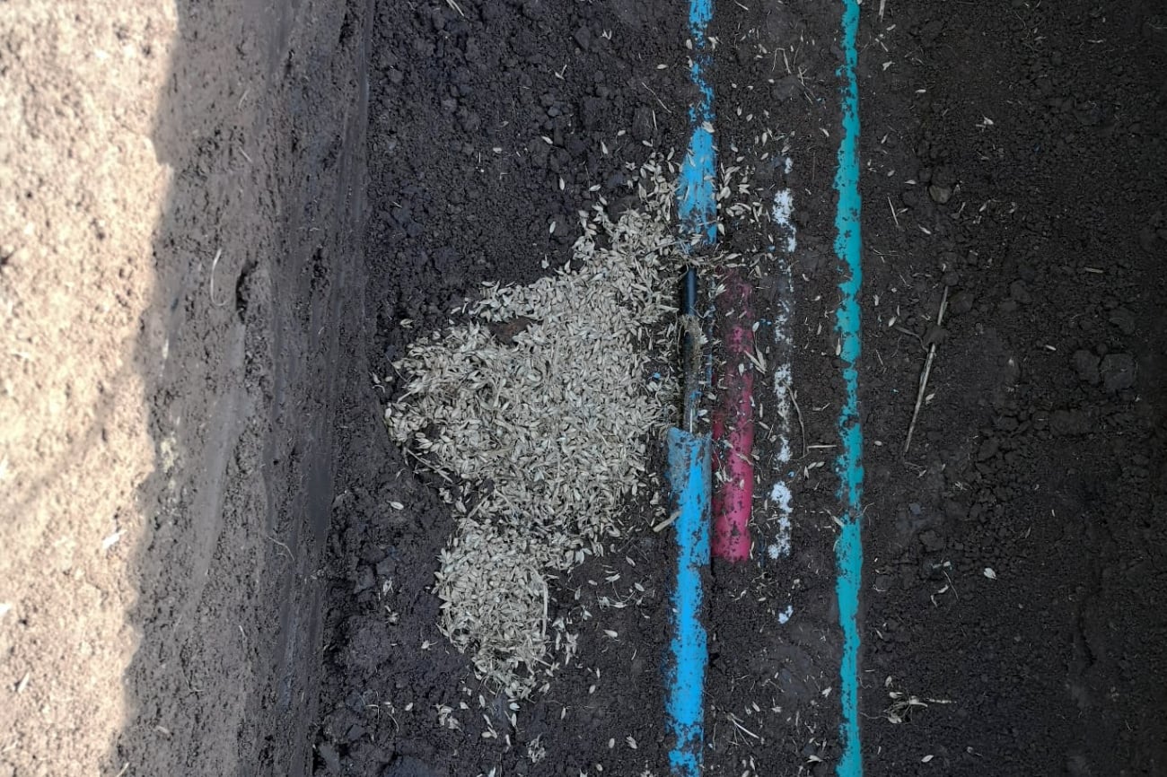 Detekce konkrétního místa poškození zpravidla vychází z plánů projekce vytvořených v době, kdy se daný kabel zakopával do země, ne vždy se na ni však lze spolehnout. „Konkrétně trasa u Dřevčic, kde se oprava řešila, byla zdokumentována v roce 1994, dle plánů se tedy příliš řídit nedalo,“ vysvětluje Libor Silvestr.