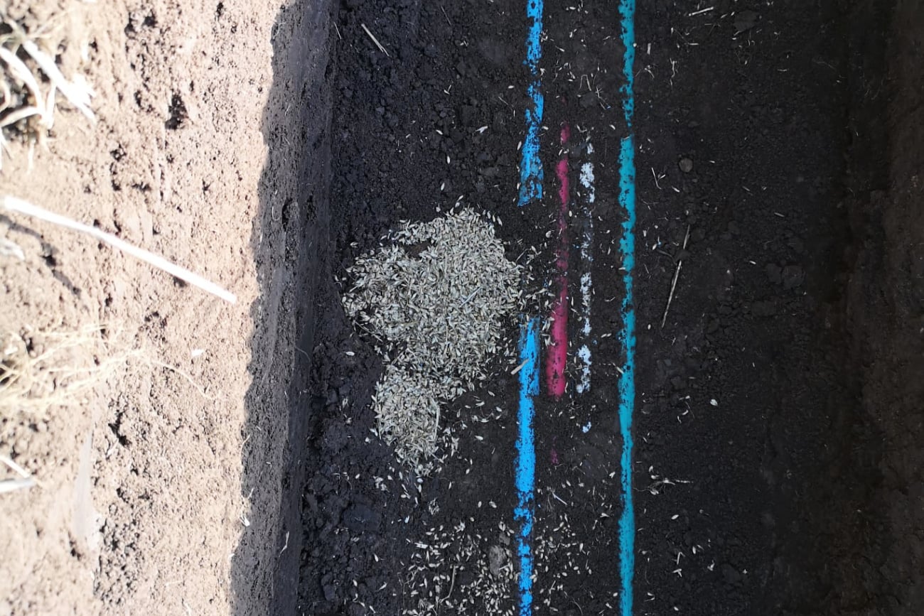 Kvůli nedostatečným podkladům byl servisní tým nucen obrátit se na jiný způsob lokalizace poruchy optického spoje a využít pomoci moderní technologie.

Jednou z nejspolehlivějších metod je v tomto případě bezesporu měření a analýza pomocí optického reflektometru OTDR (z anglického Optical Time Domain Reflectometer, pozn. red.).