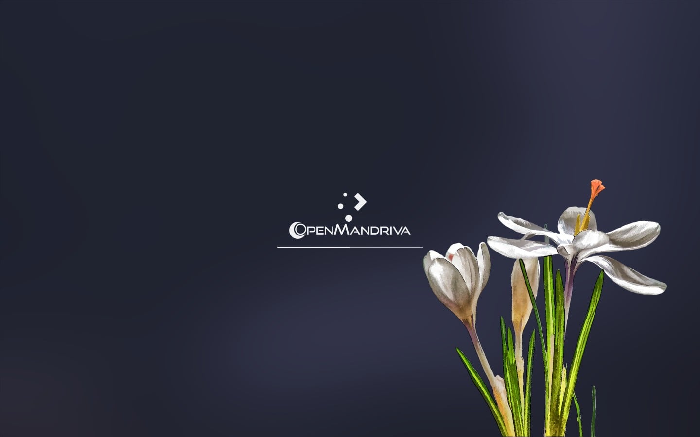 OpenMandriva Lx 4.3