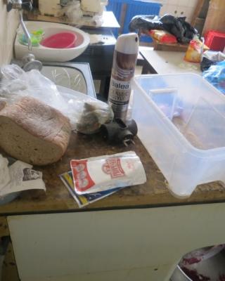 Restaurace Blaník, Praha 