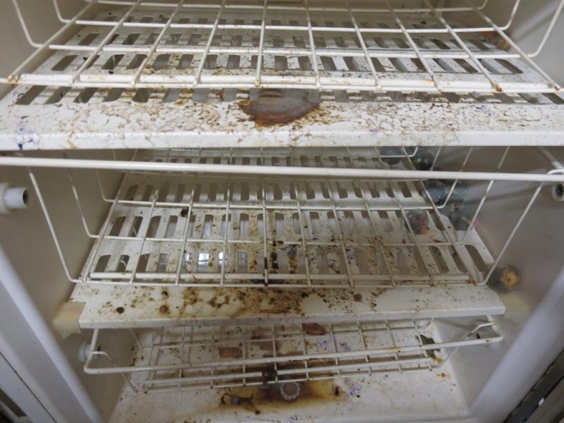 Pivnice na Dvorci, Jevíčko