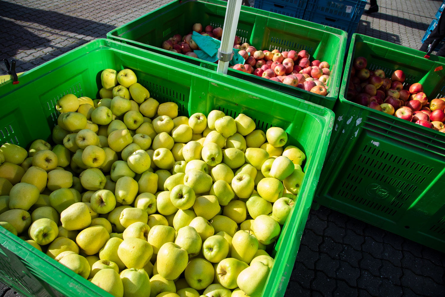 Farmářské tržiště Kubáň