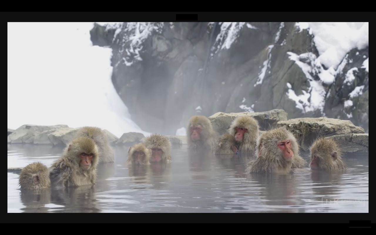 Přehrávání video souborů MX9 Pro Mini