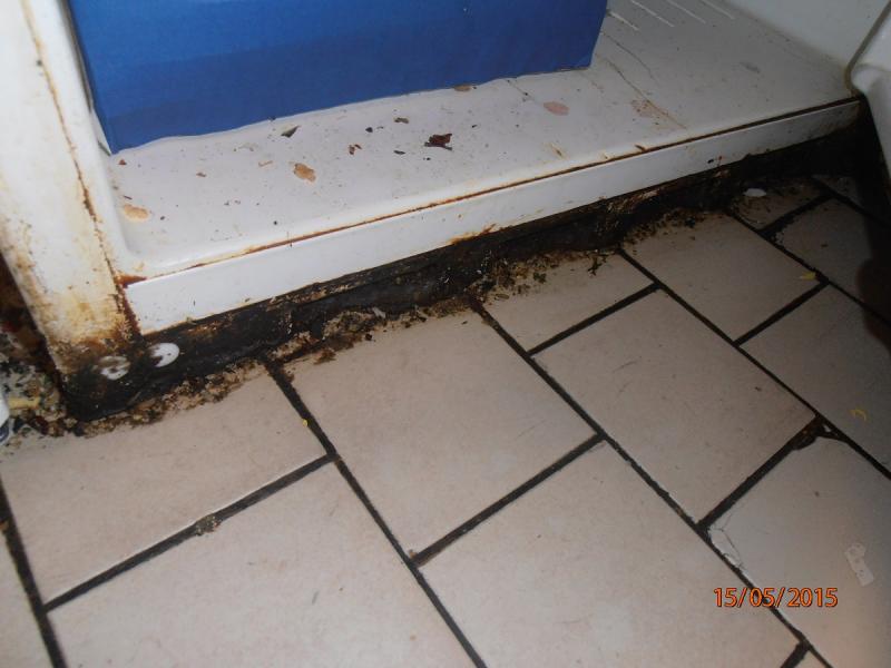 Restaurace Zlatý dvůr, Praha 1