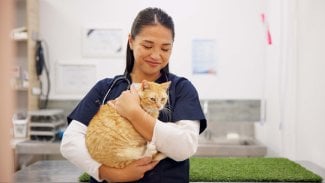 Dog & Cat TV: Veterinární klinika pro kočky