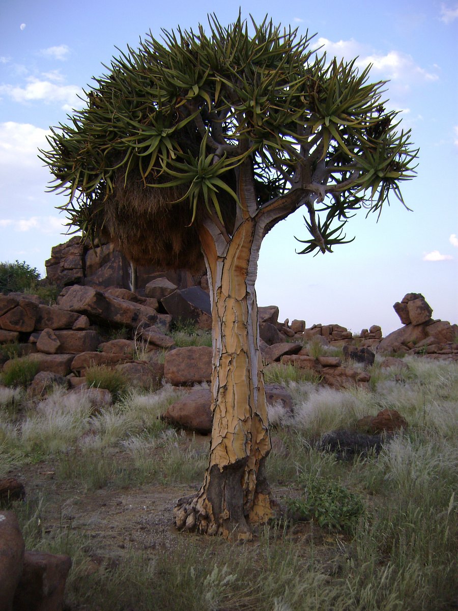 Cyklus Fascinující příroda na dokumentárním kanálu Prima Zoom