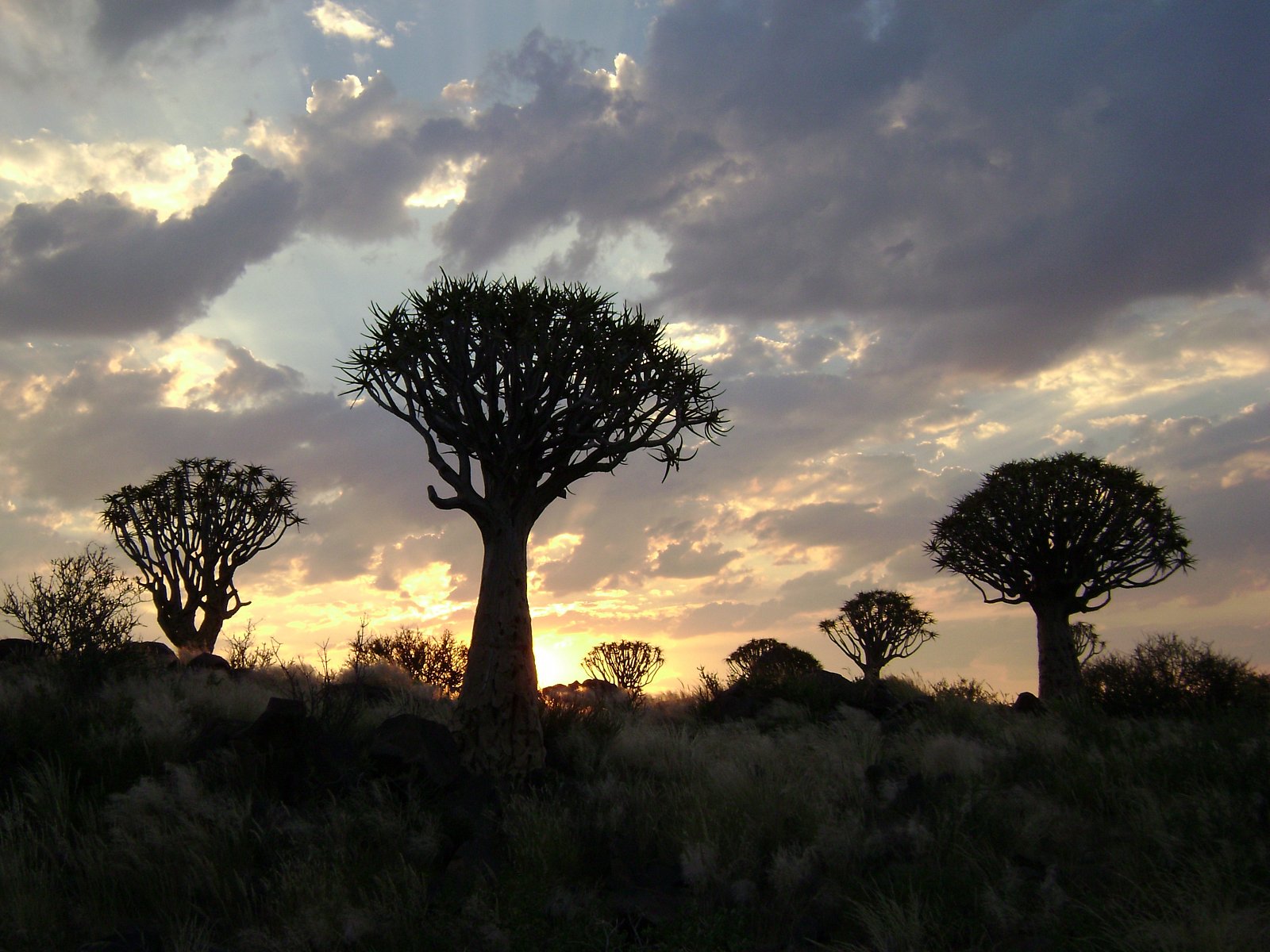 Cyklus Fascinující příroda na dokumentárním kanálu Prima Zoom