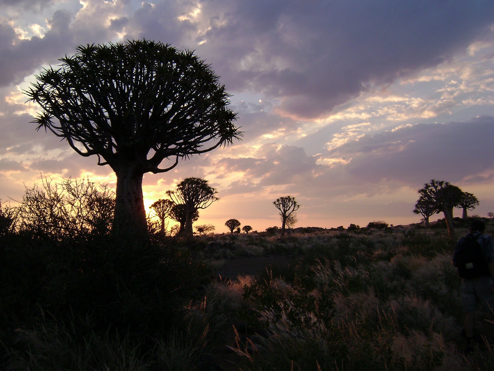 Cyklus Fascinující příroda na dokumentárním kanálu Prima Zoom