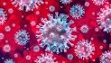Viry tvoří vedle proteinového obalu také nukleová kyselina DNA, nebo nukleová kyselina RNA. Do lidské buňky virus vstoupí, jelikož nedisponuje enzymy k produkci vlastních buněk.