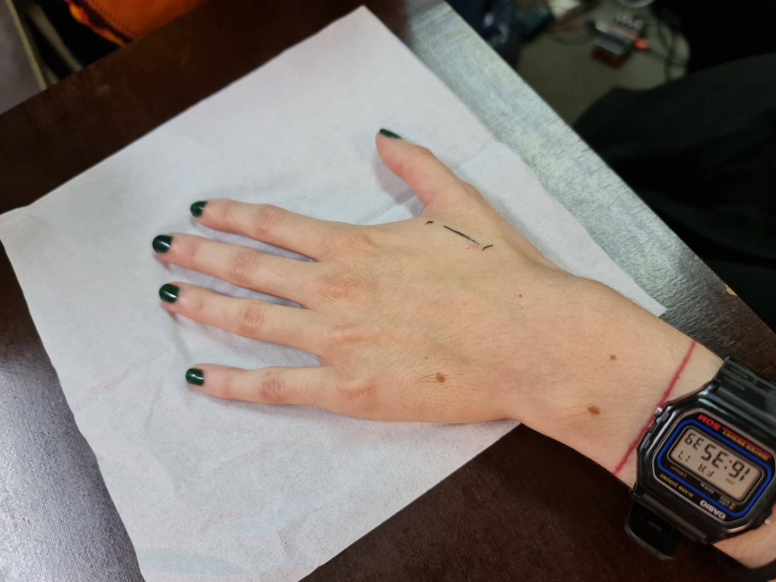 Čipování lidí v Česku od Cipovani.eu