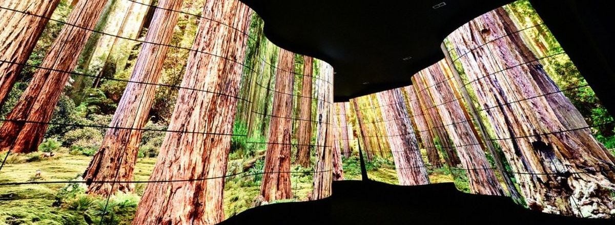 LG OLED Canyon - kaňon z displejů (veletrh CES 2018)