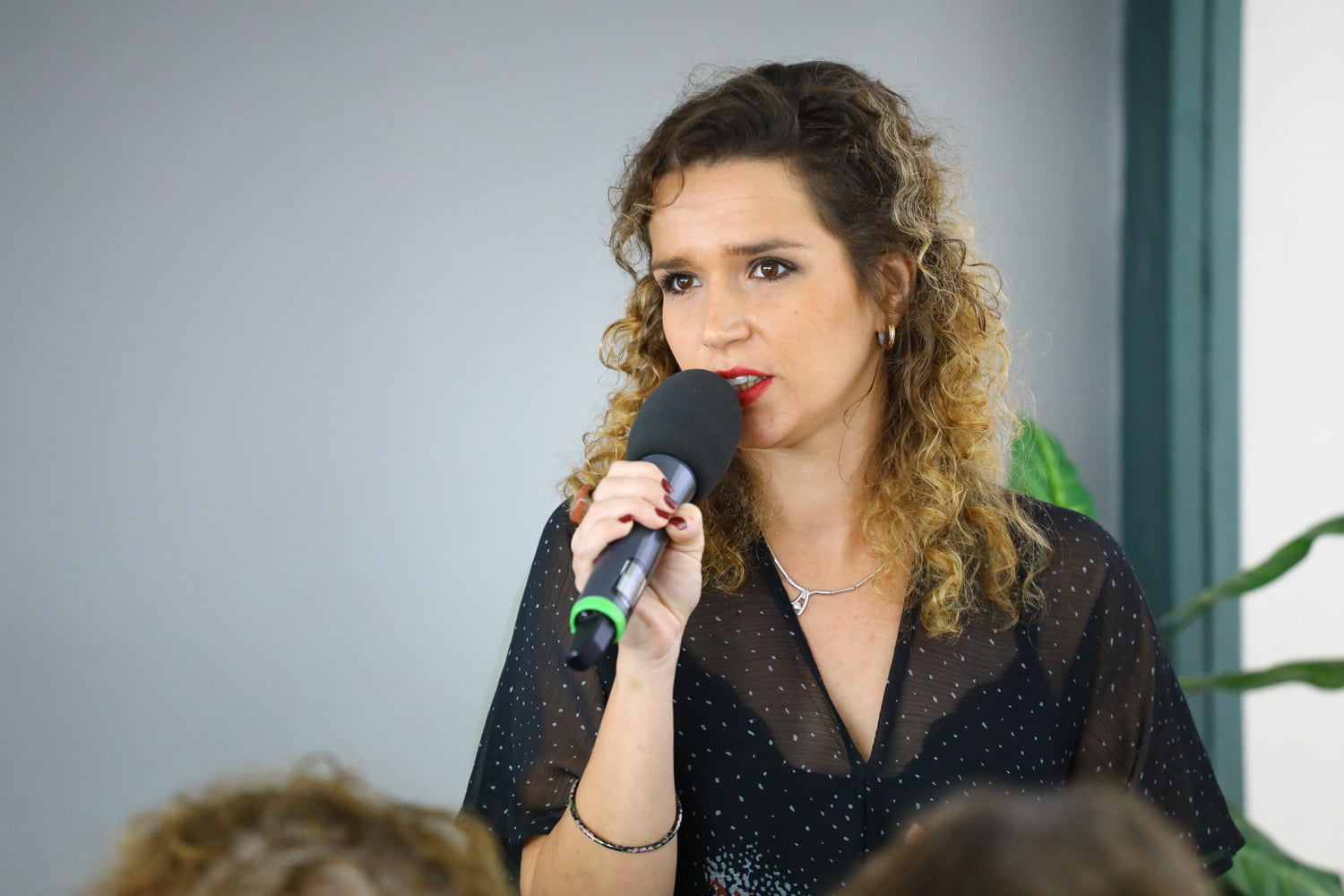 Tisková konference rádia Dálnice