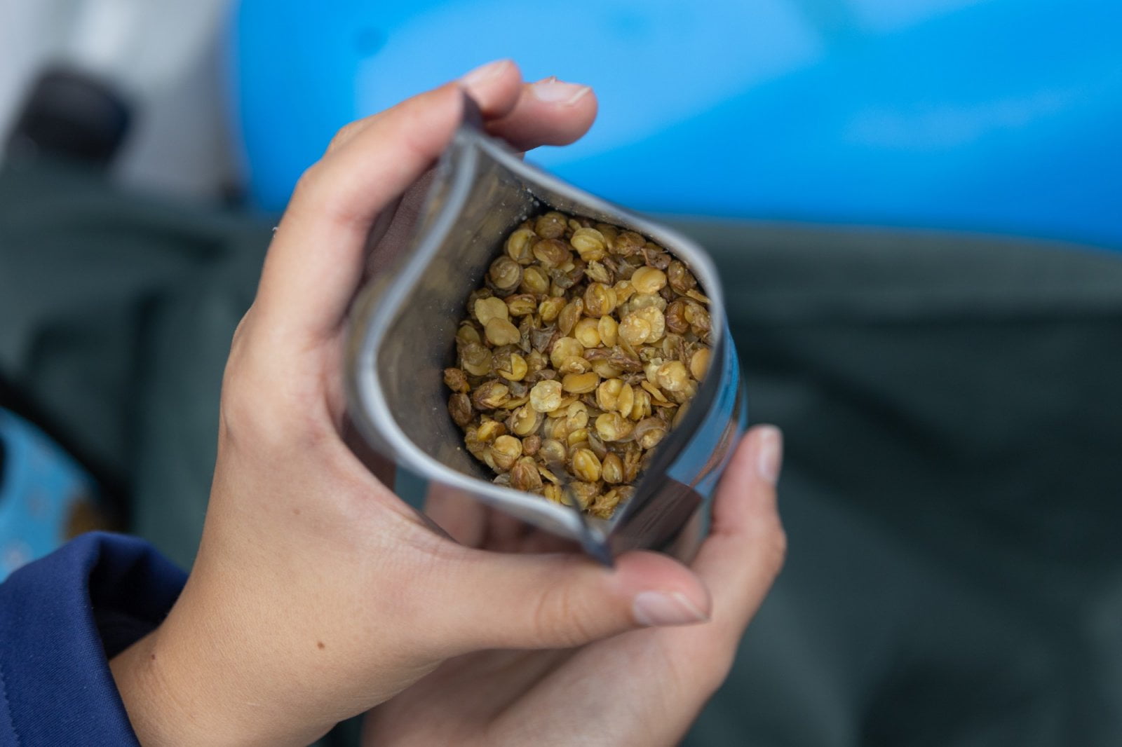 Pohled do sáčku Čočkýny