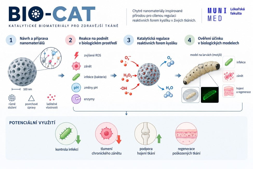 Projekt BIO-CAT