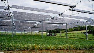 Solární panely, agrovoltaika