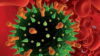 Náhledový obrázek - Nový virus ptačí chřipky někdy podle vědců odolává i léku Tamiflu