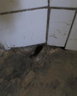 Hostinec U Šplíchalů, Postupice