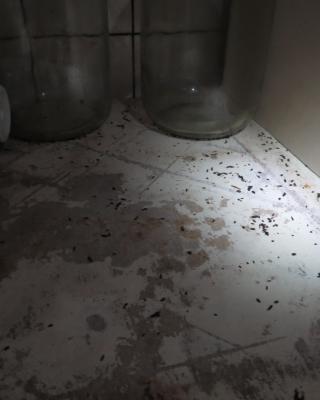 Hostinec U Šplíchalů, Postupice 