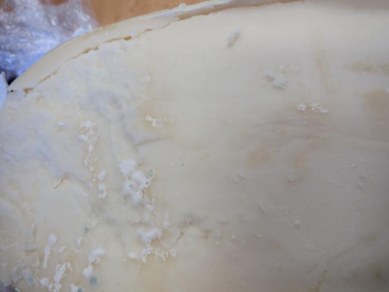 Chevrette kozí sýr bochník. Kategorie: Nebezpečné potraviny. Nevyhovující parametr: plísně okem viditelné. Na povrchu potraviny se vyskytovaly kolonie plísní bílé a zelené barvy. Výrobek neměl prošlé datum minimální trvanlivostii. Při kontrole nebyly zjištěny nevyhovující teploty skladování tohoto výrobku.
Datum minimální trvanlivosti: 	22.8.2015. Distributor: VAT 33 s.r.o., Ústí nad Labem. Země výroby: Nizozemí. Místo kontroly: AHOLD Czech Republic, a.s., Prostějov