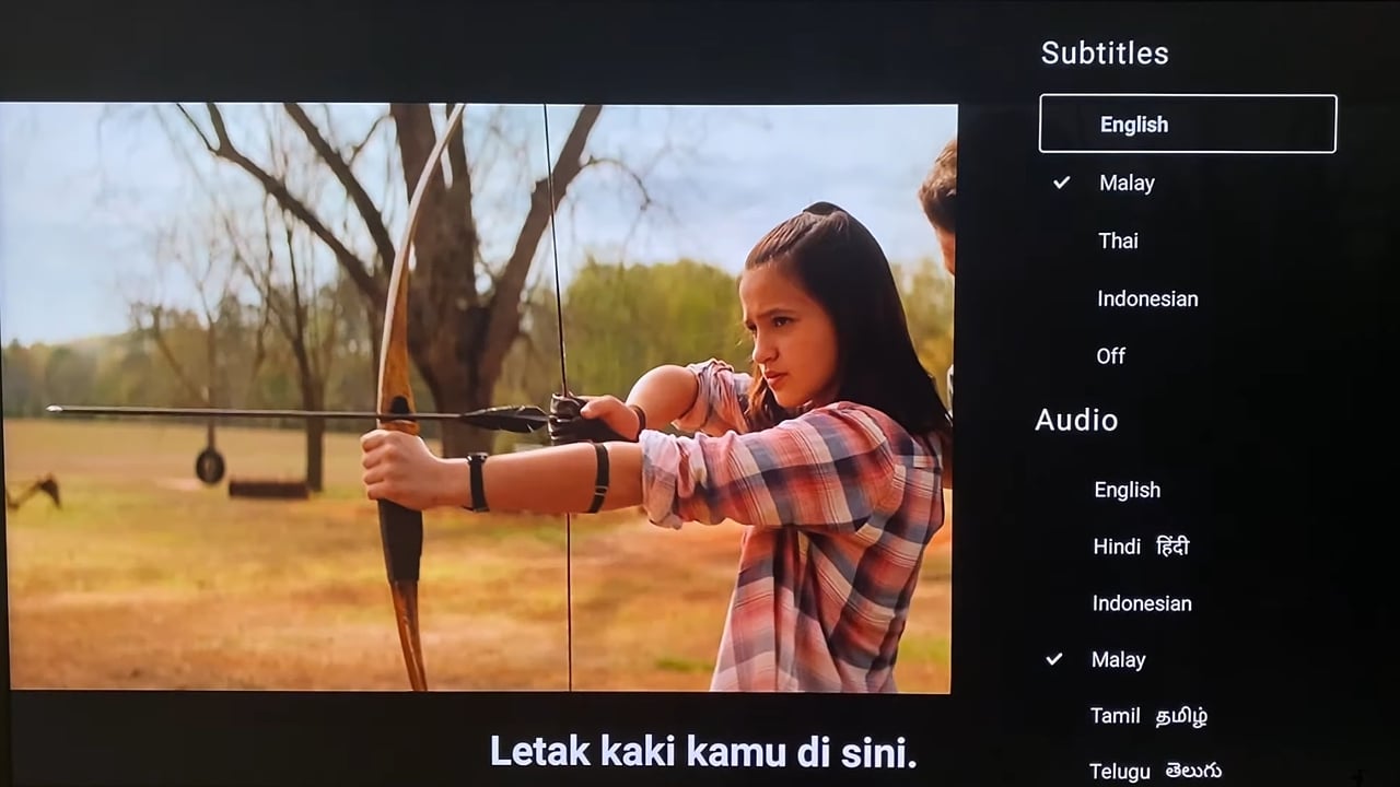 Služba Disney+ Hotstar