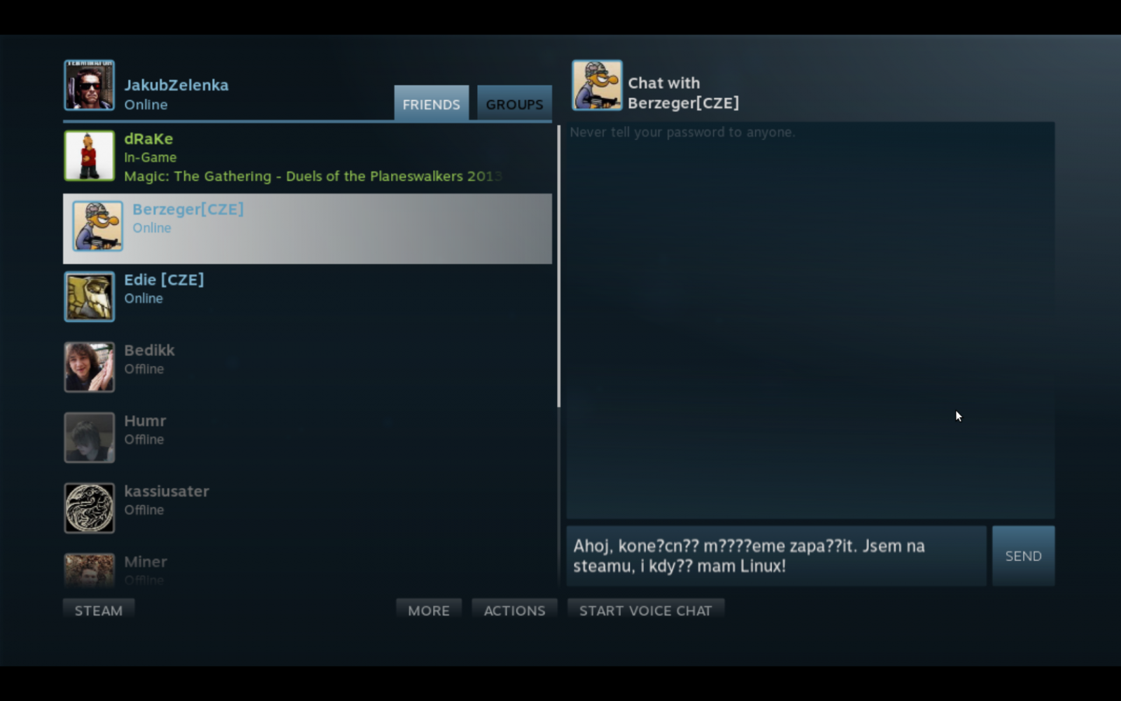 Big Picture chat si zatím neporadí s českými znaky.