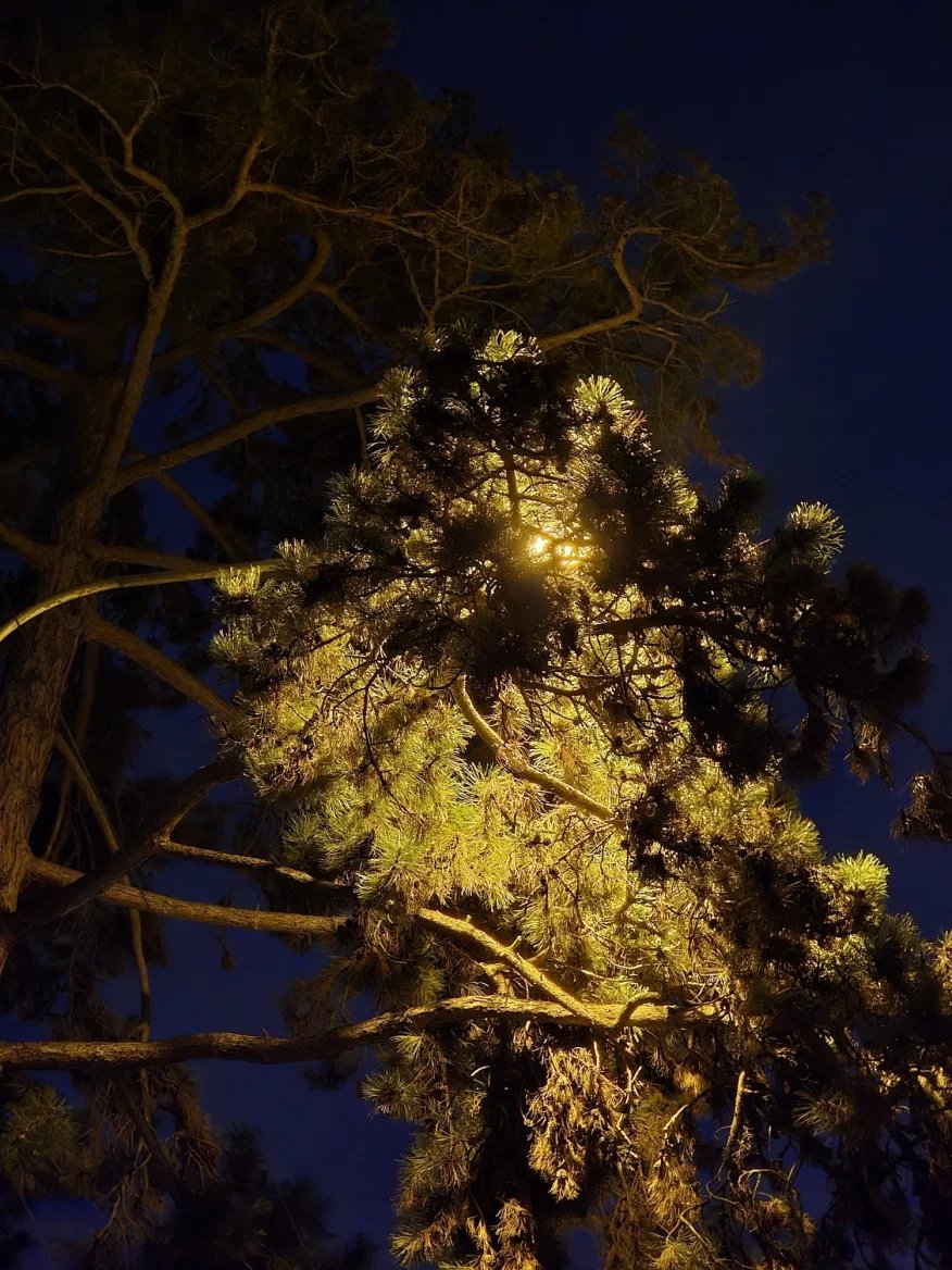 3násobný optický zoom