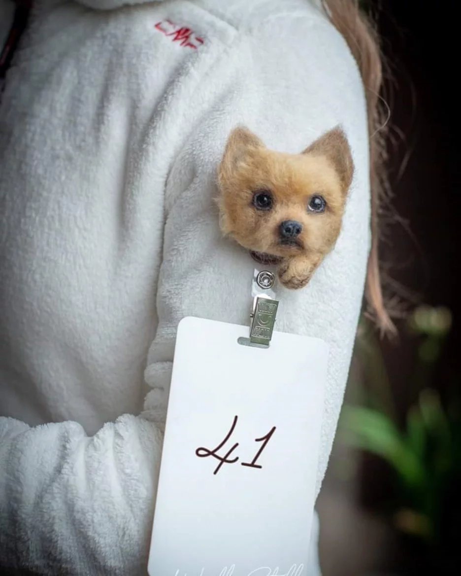 Nejen domácí mazlíčci vyrobení z ovčí vlny suchým plstěním