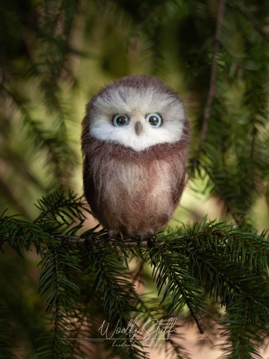 Nejen domácí mazlíčci vyrobení z ovčí vlny suchým plstěním