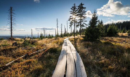 Krkonošský národní park