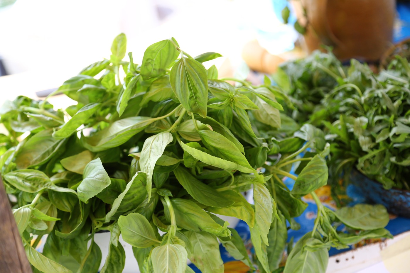 Farmářské tržiště Náplavka