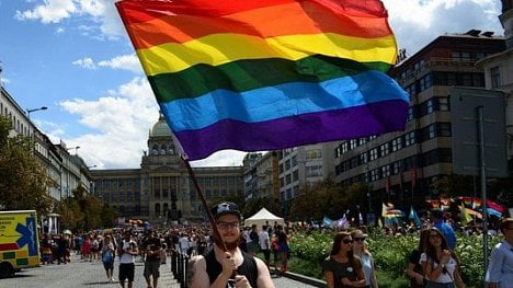 Náhledový obrázek - Den D pro gaye a lesby. Poslanci začali debatovat o možnosti manželství pro homosexuály