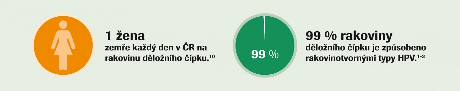 Rakovina děložního čípku a viry HPV