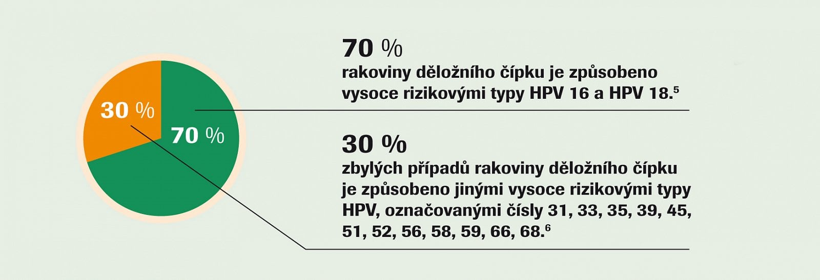 Rakovina děložního čípku a viry HPV