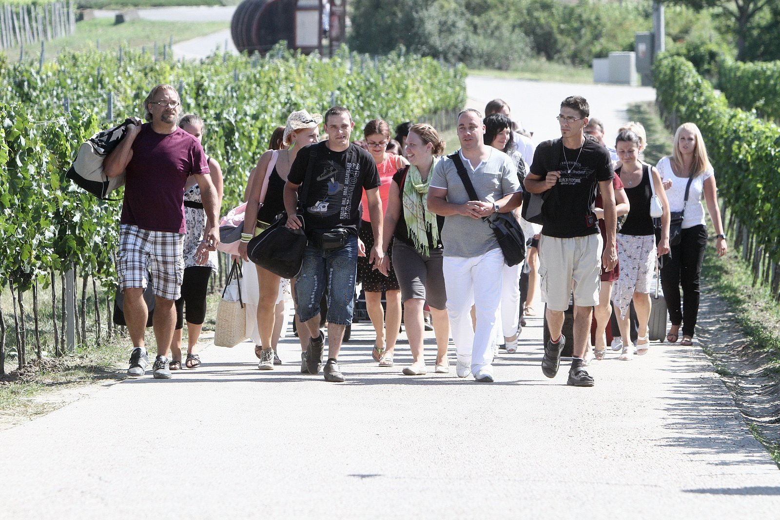 Farmář hledá ženu a Polívka na víně