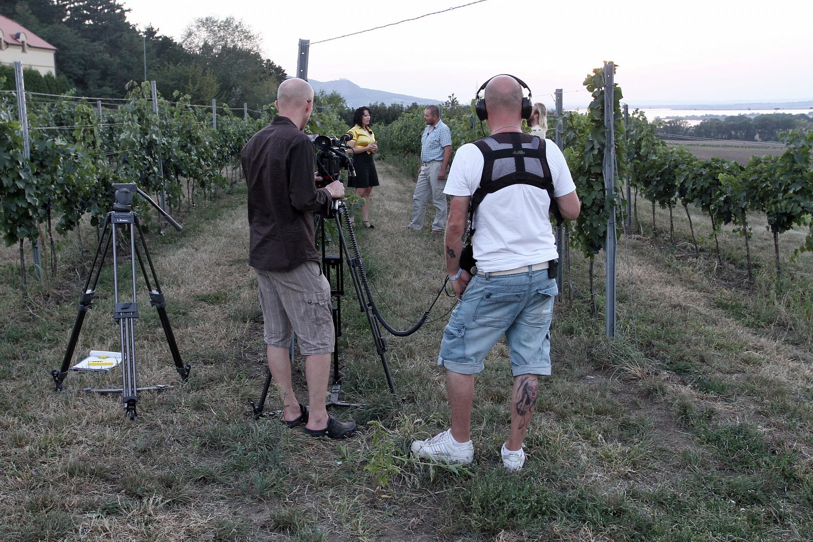 Farmář hledá ženu a Polívka na víně