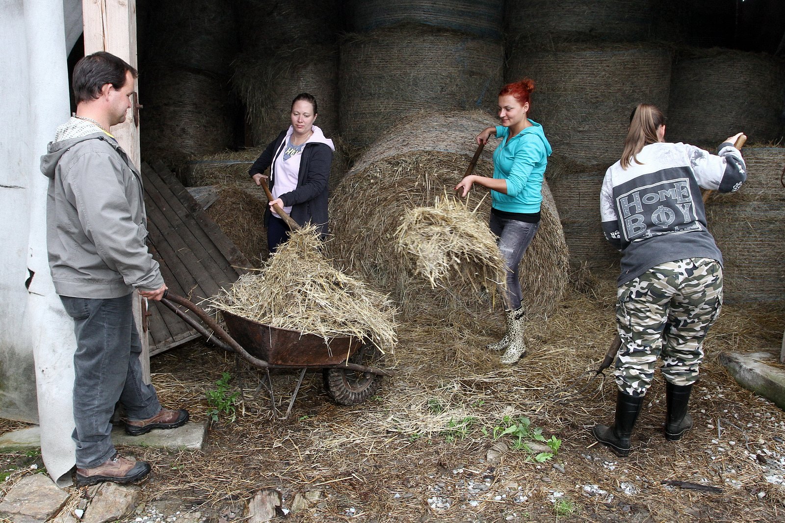 Farmář hledá ženu a Polívka na víně
