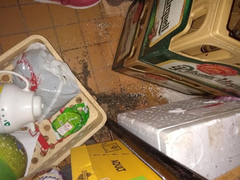 Myší trus. Výskyt plísní na provozovně. Výrazně zanedbaný úklid a výrazné znečištění všech prostor, nečistoty na podlaze, regálech či zařízeních. Nevhodná hygiena a skladované potraviny.