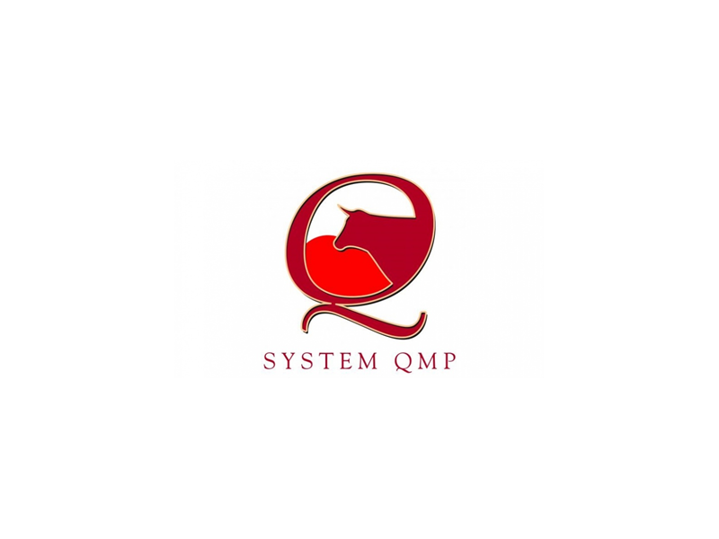 SYSTEM QMP