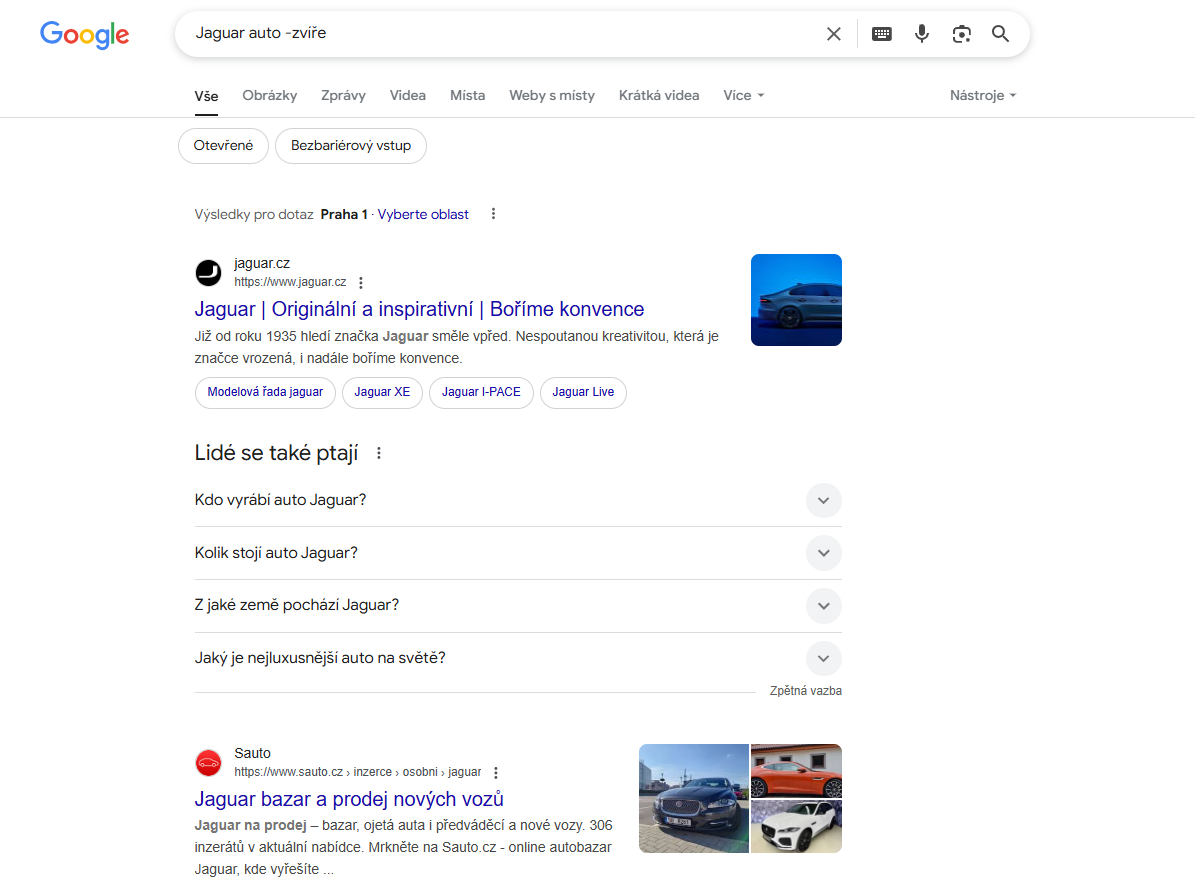 Vyhledávání v Googlu