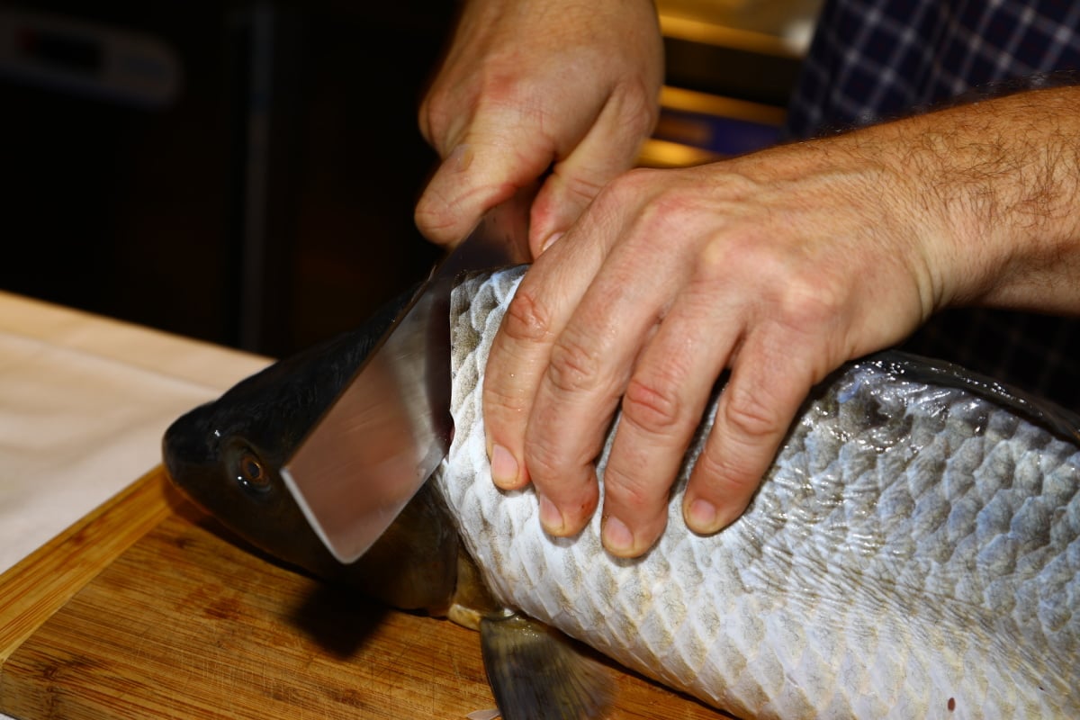 Vykostěte kapra a udělejte si hranolky nebo sushi