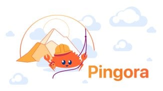 Pingora