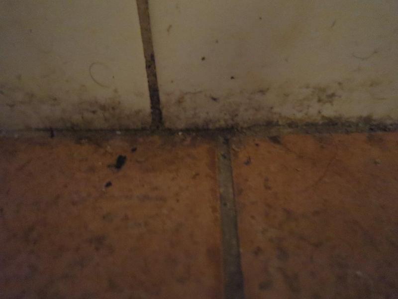 Hospoda Obděnice, Petrovice