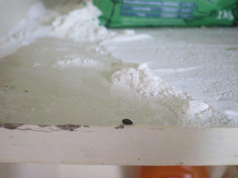 Hospoda Obděnice, Petrovice